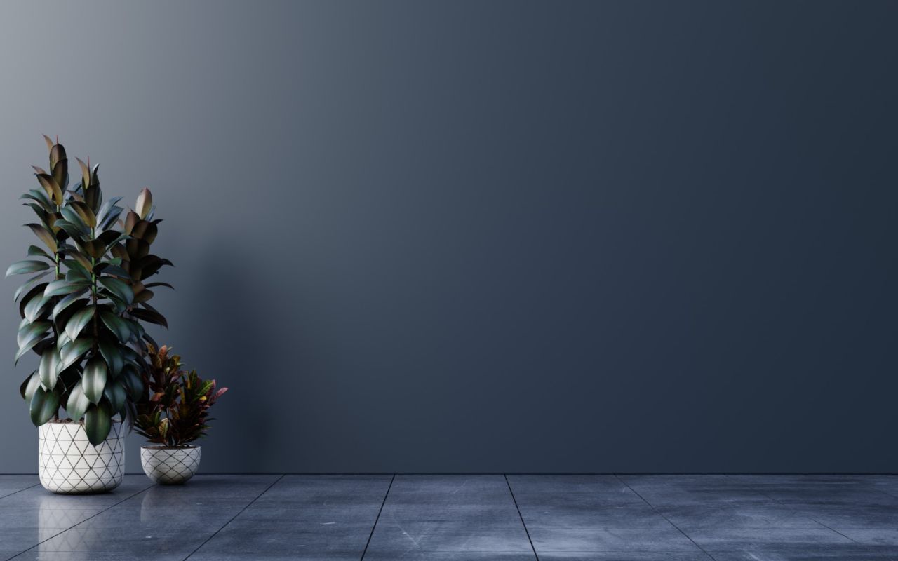 dark wall empty room with plants floor 3d rendering